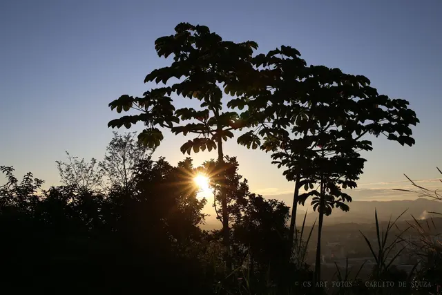 Silhueta contra o sol