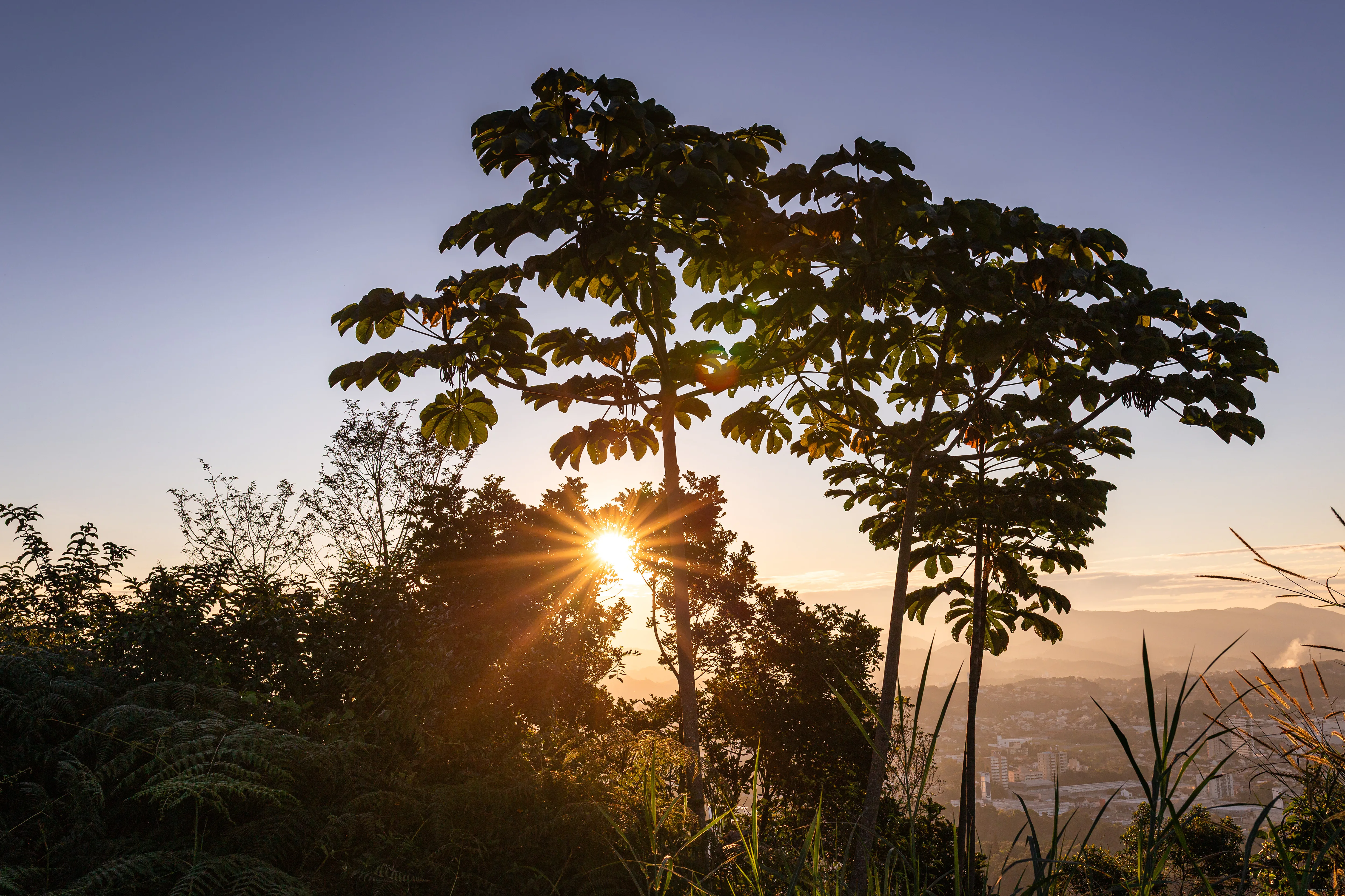 Silhueta contra o sol