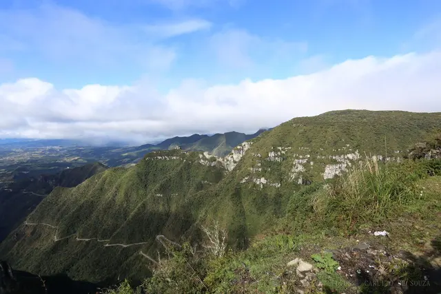 Serra verde sob névoa