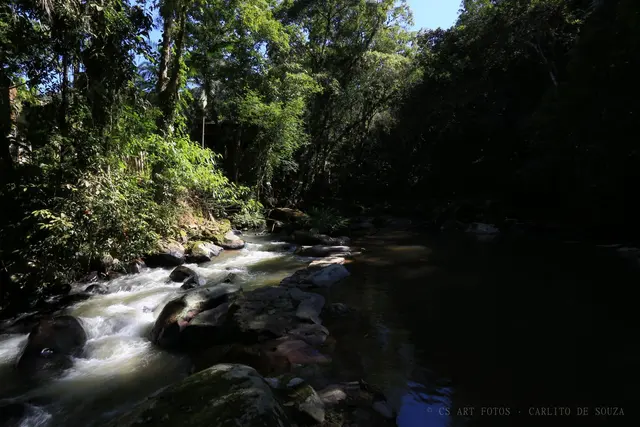 Rio na sombra da mata