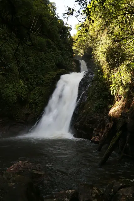 Cascata no fundo da mata