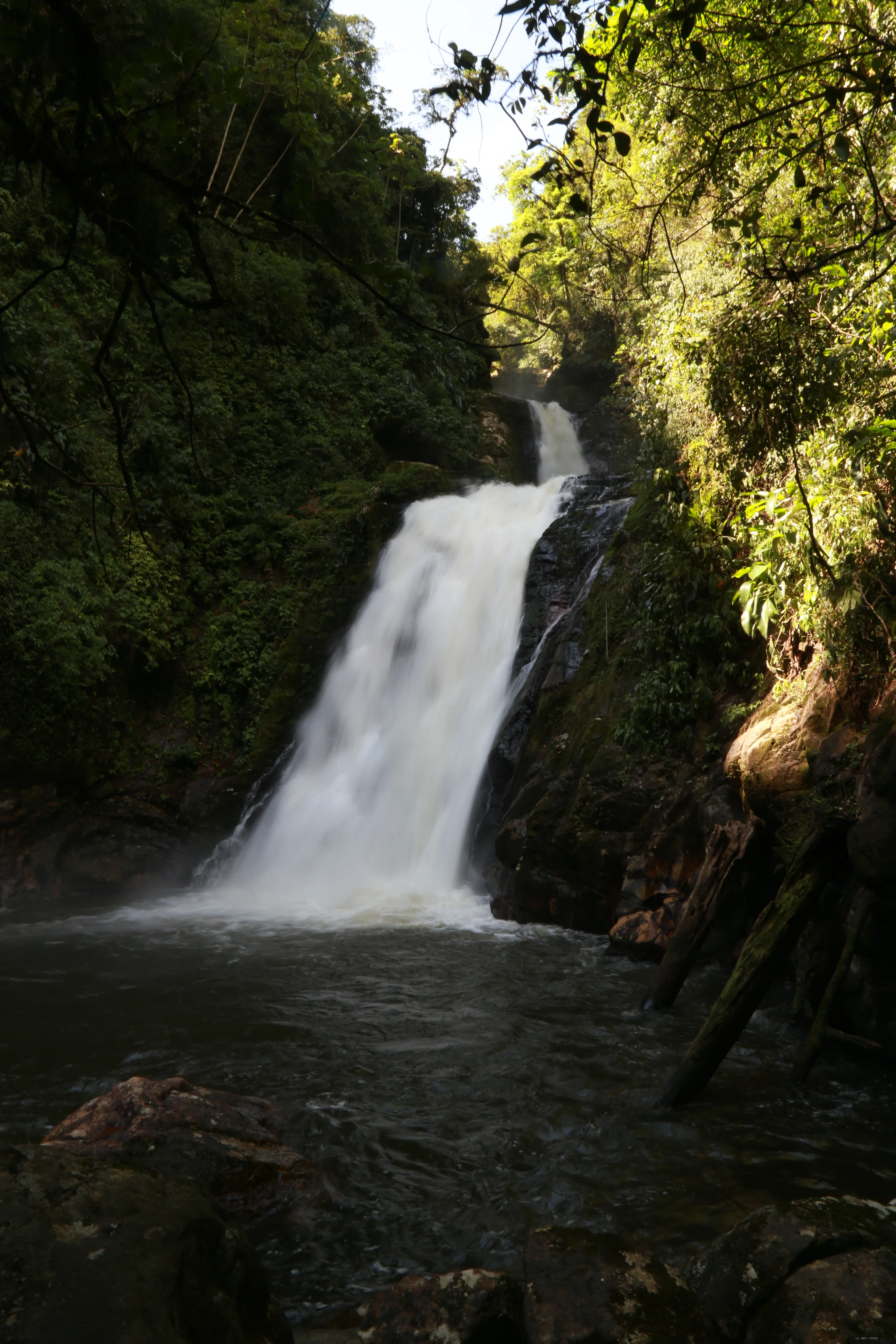 Cascata no fundo da mata