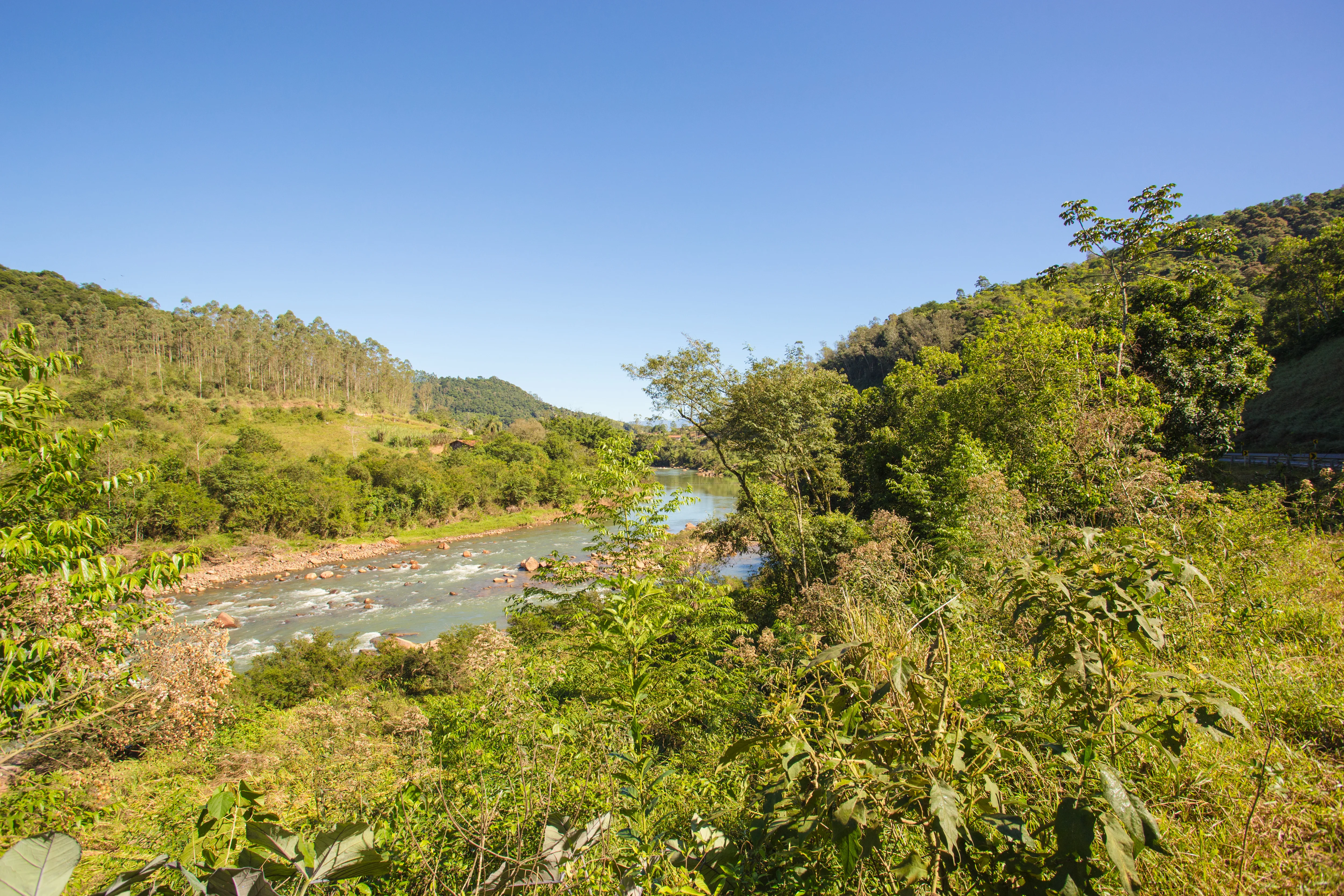 Vale verde e rio claro