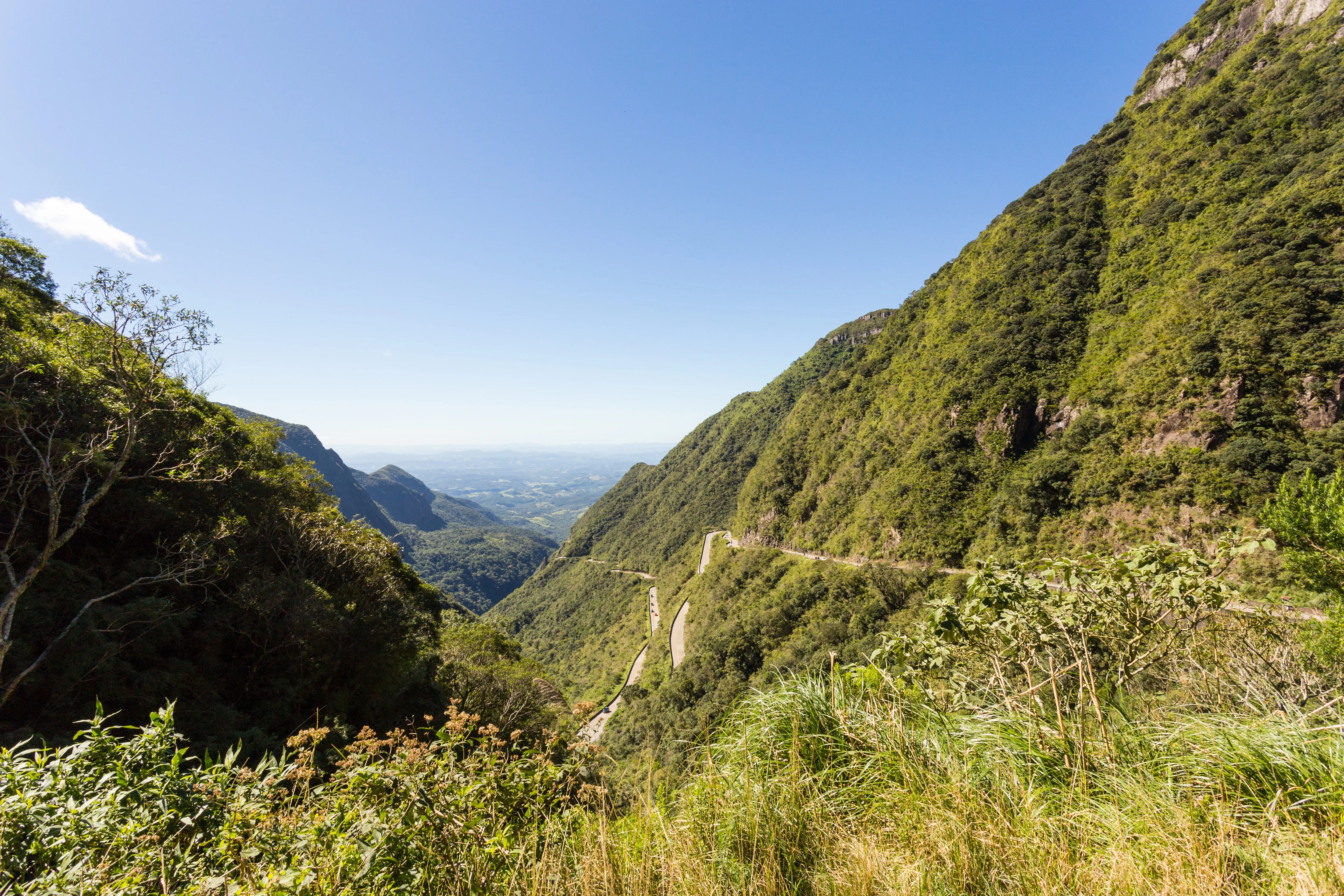 Cânion verde até a planície