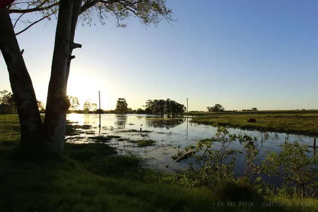 Campo alagado em contraluz