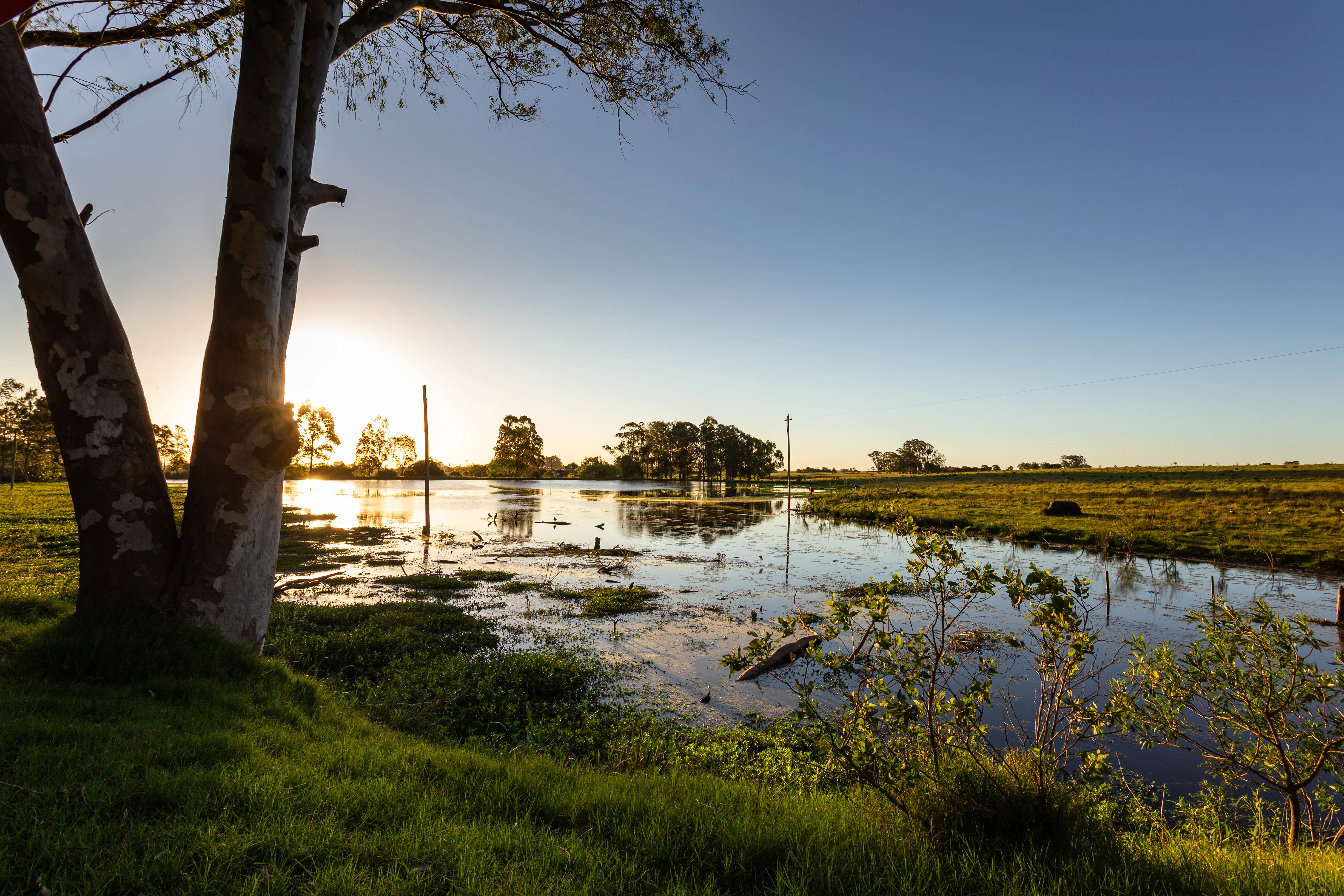 Campo alagado em contraluz