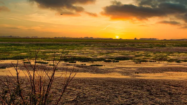 Banhado ao pôr do sol