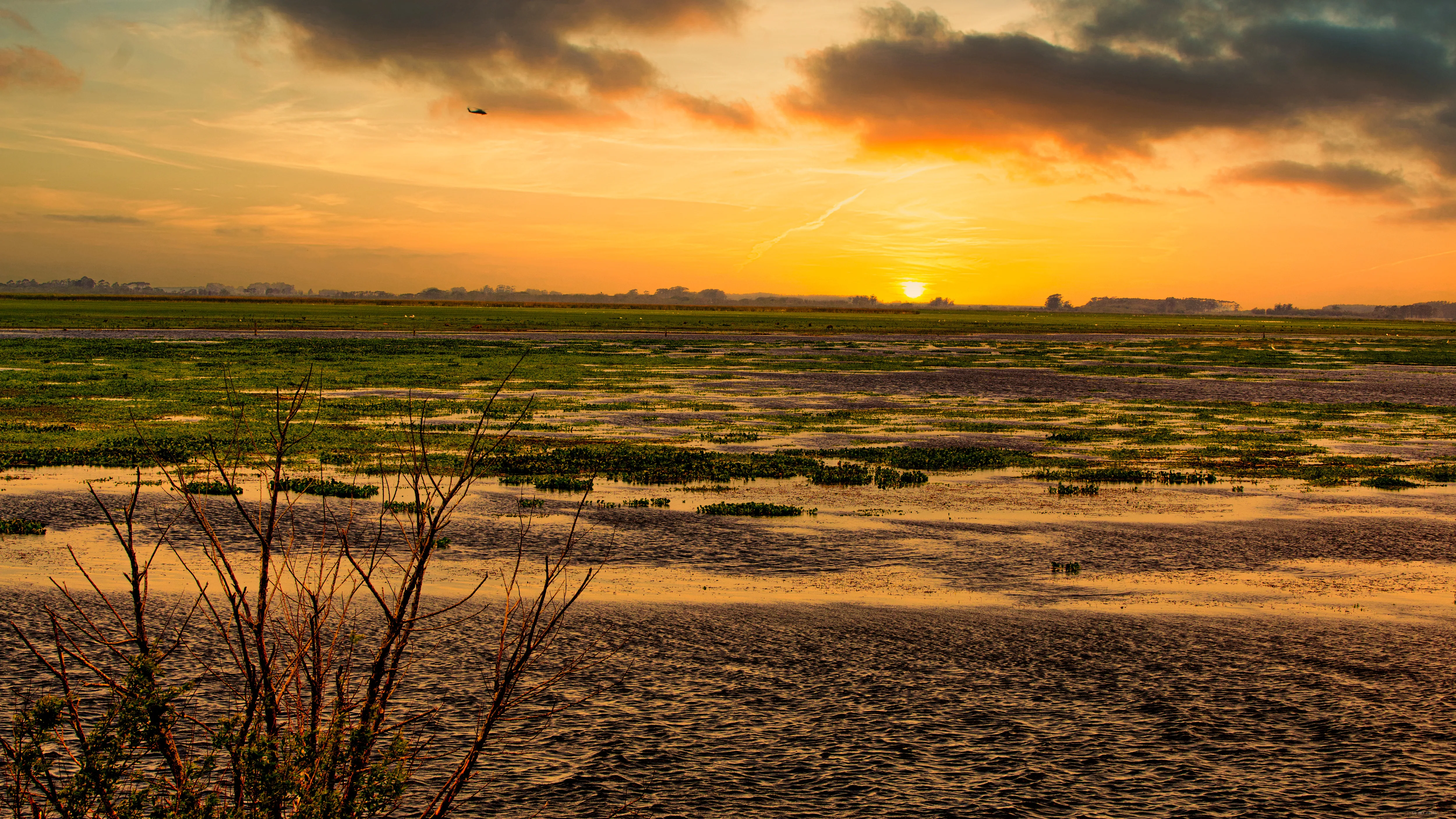 Banhado ao pôr do sol