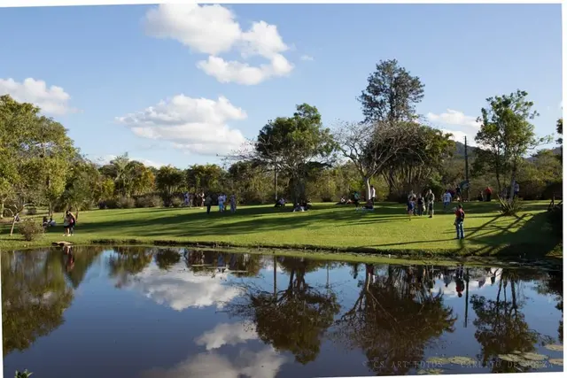 Gramado e reflexo