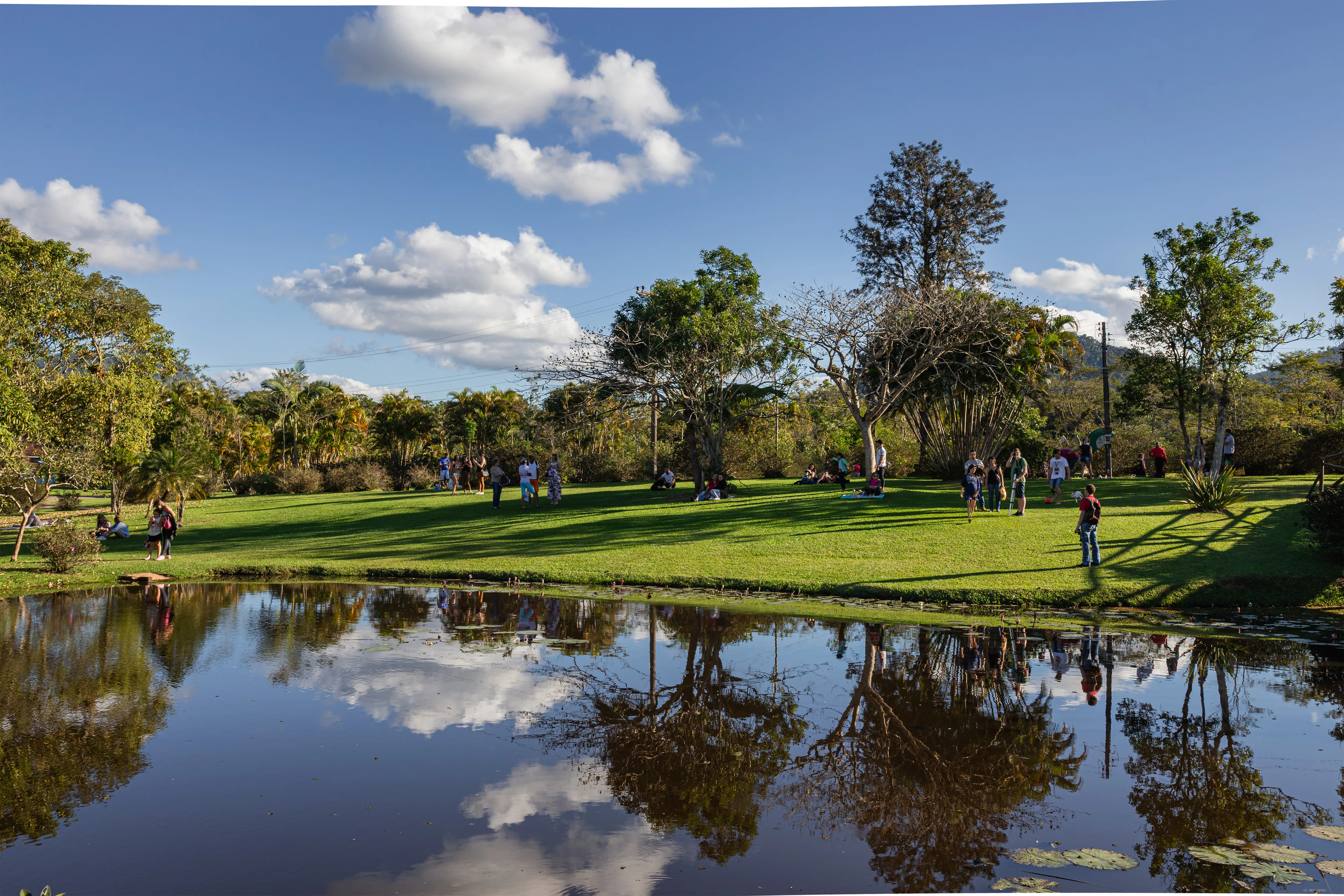 Gramado e reflexo