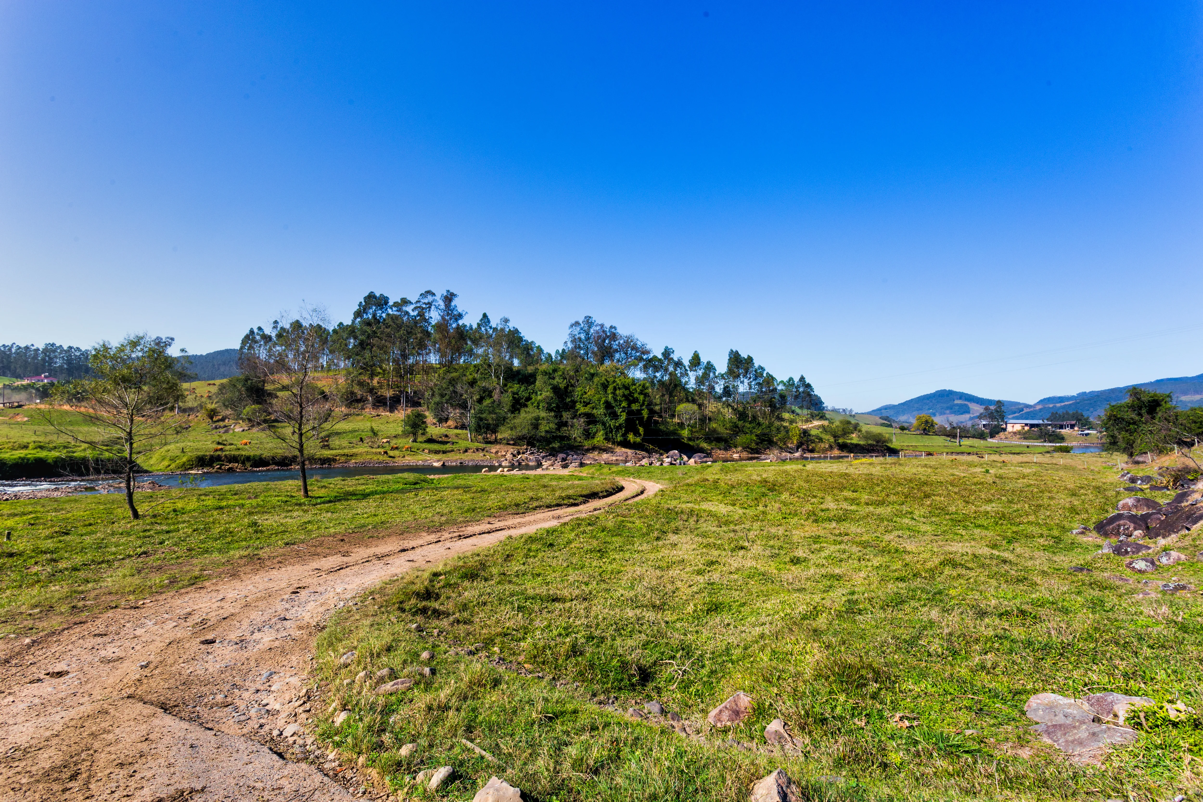 Trilha de terra no campo