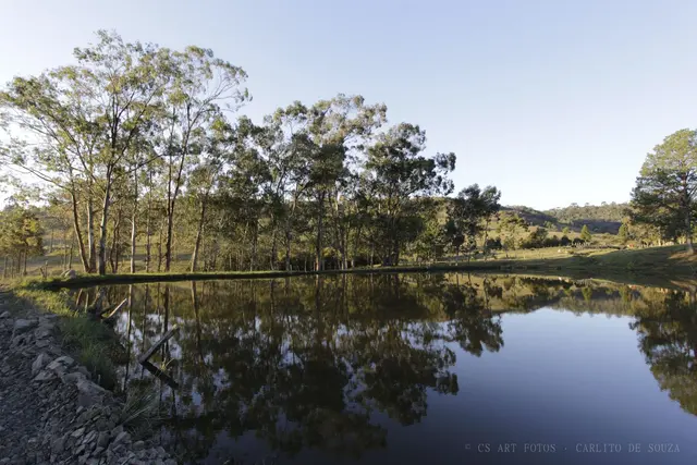 Bosque refletido