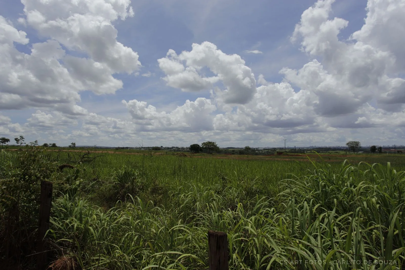 Cúmulos sobre o campo