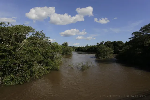Rio cheio entre a mata