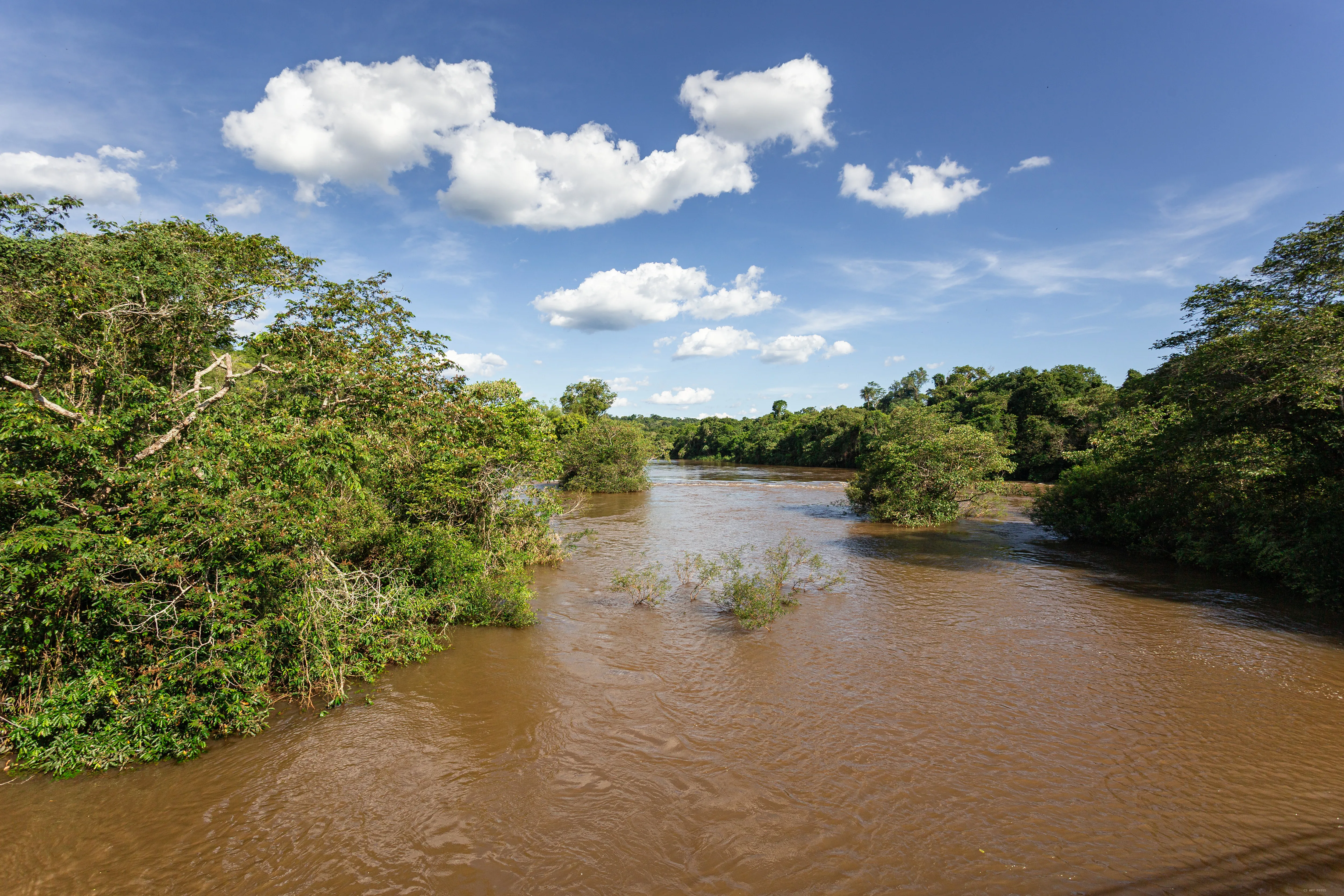 Rio cheio entre a mata