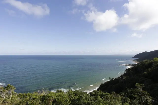 Mar aberto e costão verde