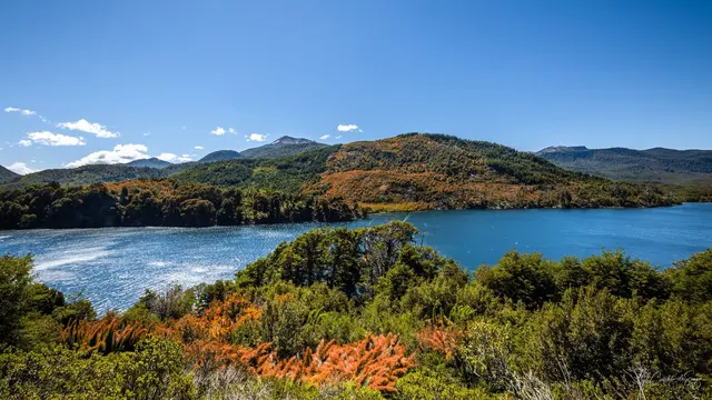 Lago entre arbustos coloridos