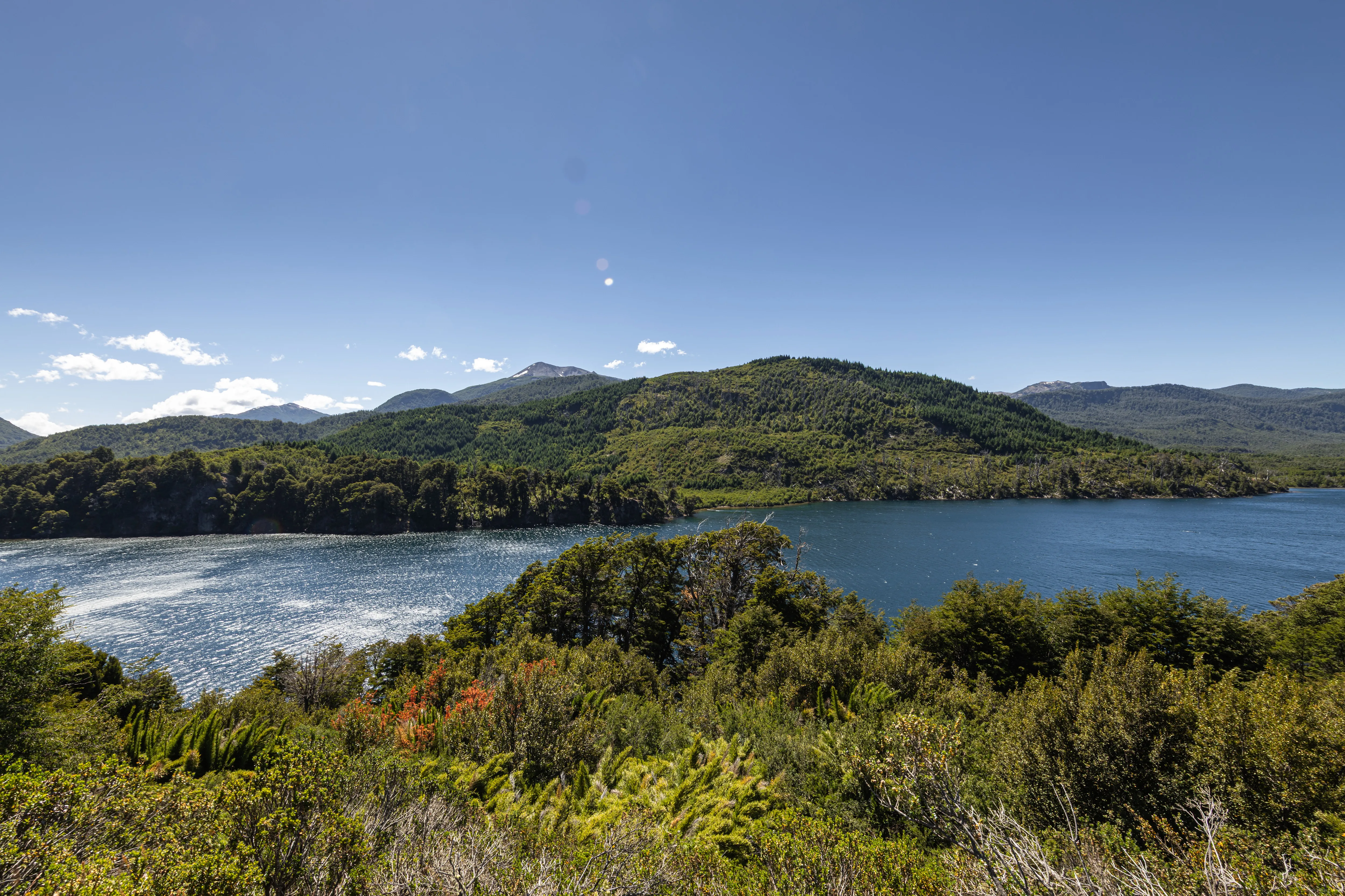 Lago entre arbustos coloridos