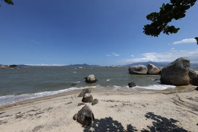 Pedras redondas na areia