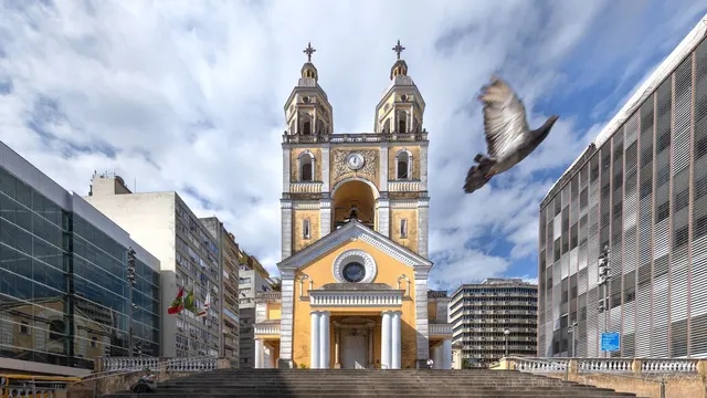 Pomba diante da catedral