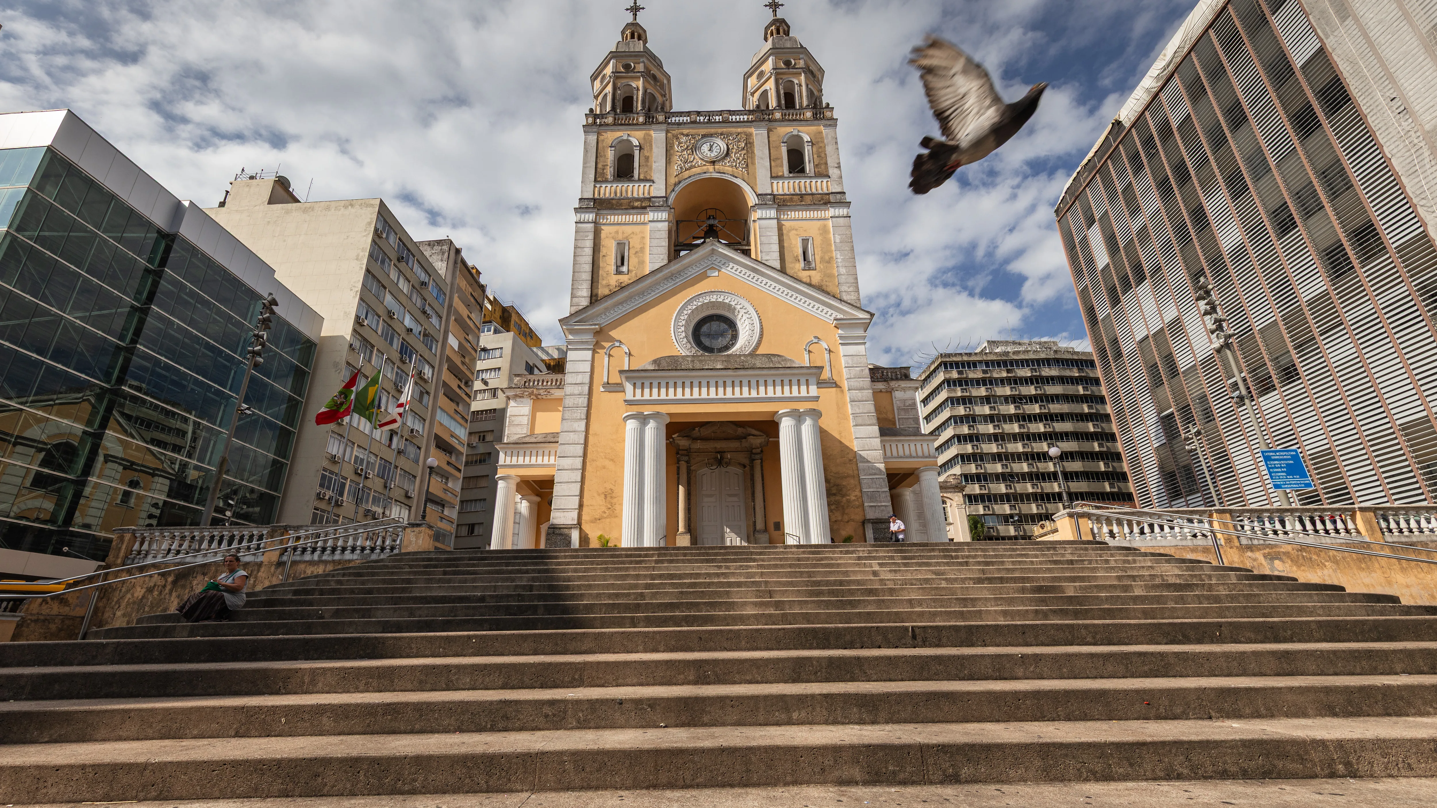Pomba diante da catedral