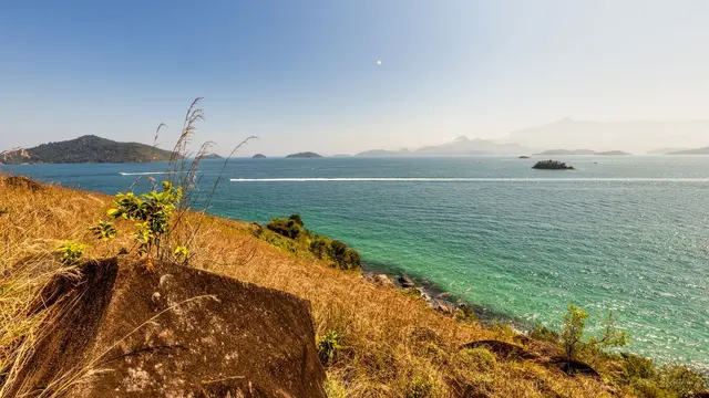 Capim dourado sobre o mar