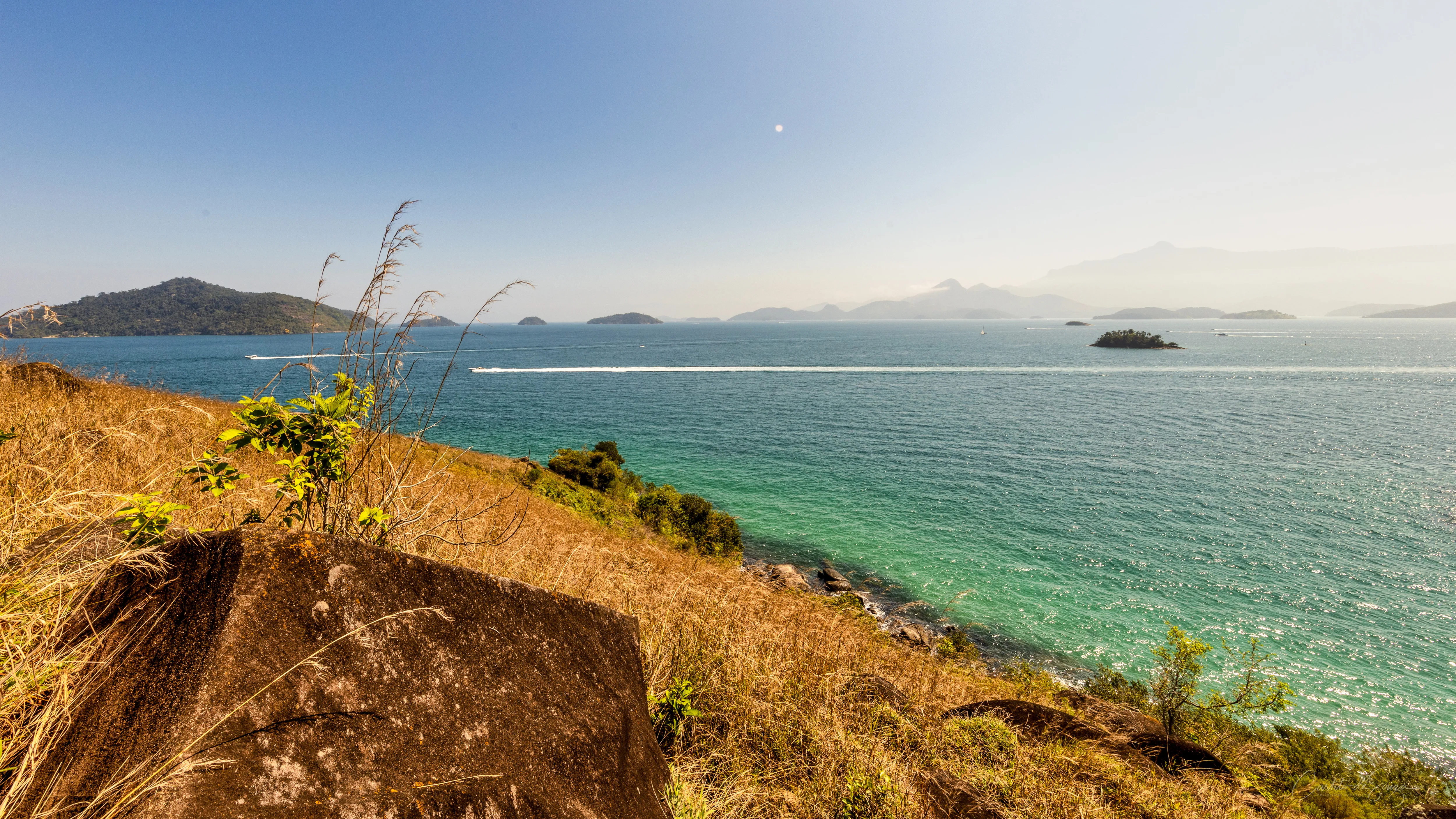 Capim dourado sobre o mar