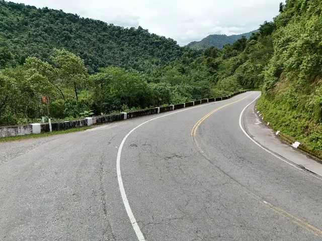 A curva entre a mata