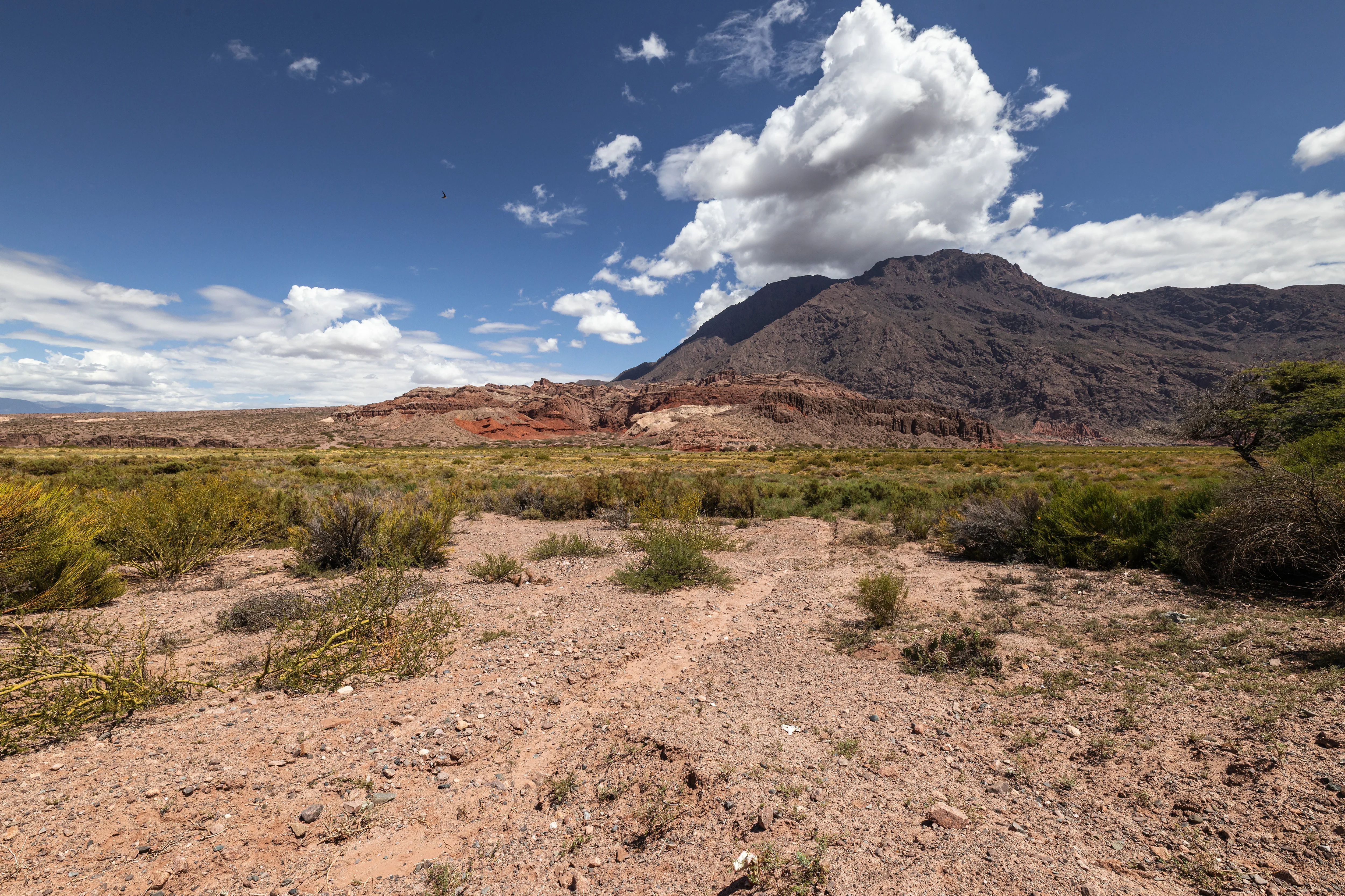 Cerro escuro