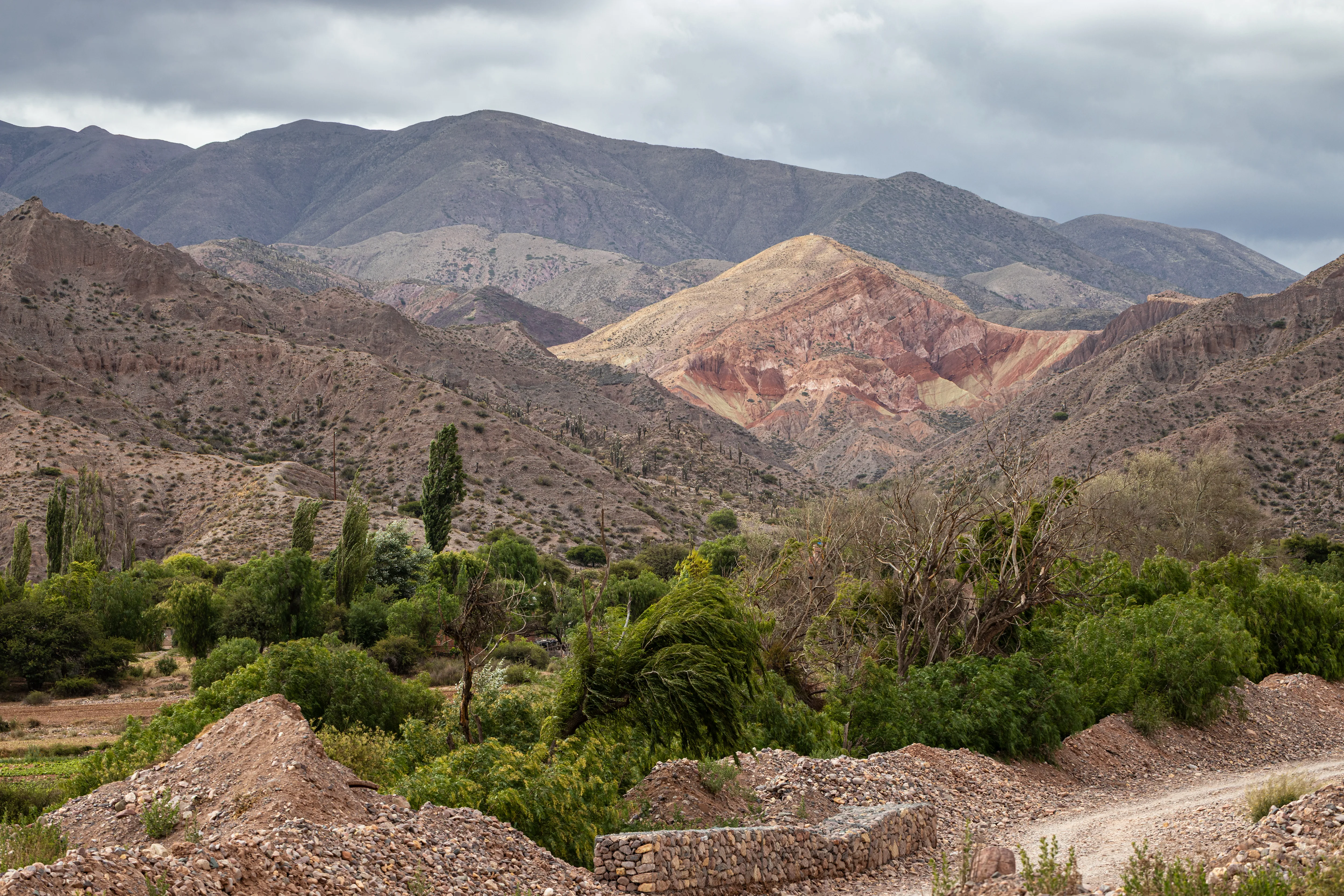 Cerro rosado entre álamos