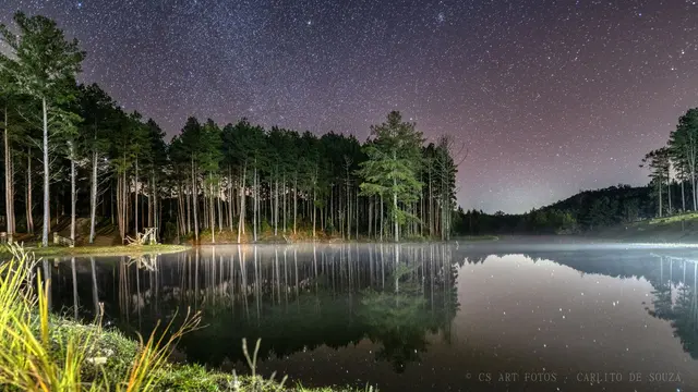 Névoa sobre o lago noturno