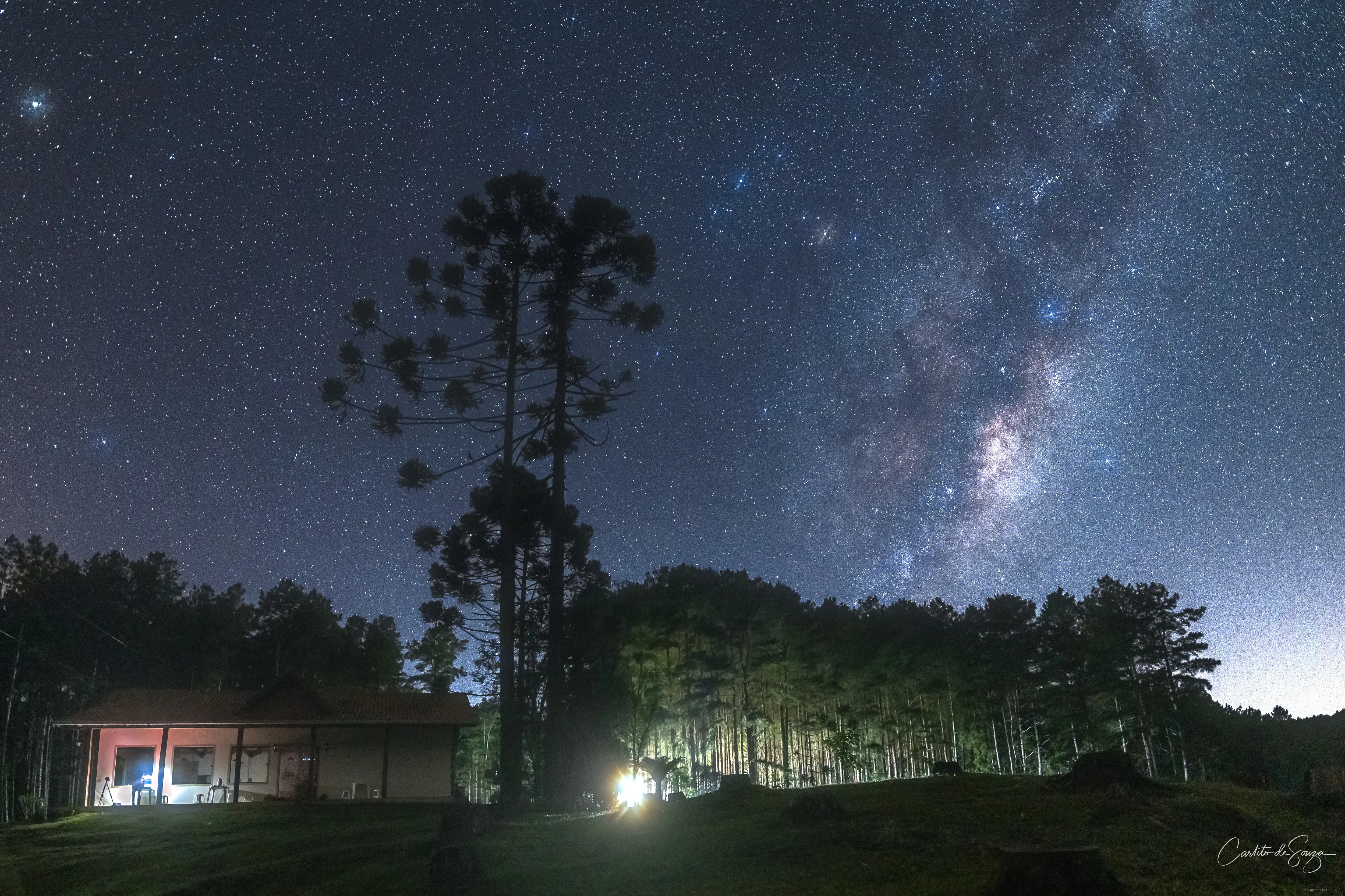 Impressão Fine Art: Araucária sob a Via Láctea